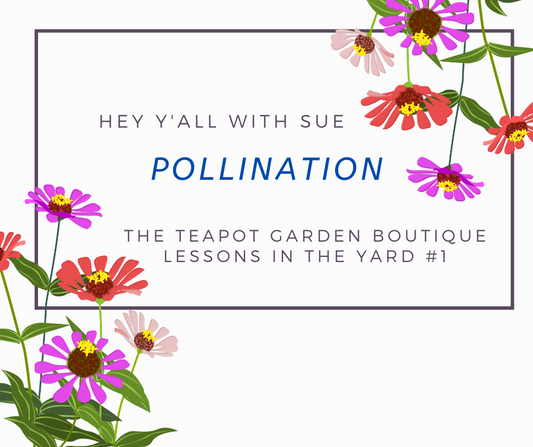 Hey Y'all with Sue - Pollination